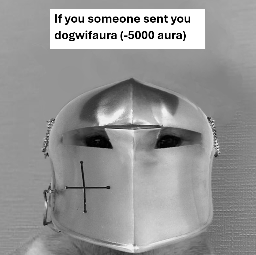 dogwifaura (@dogwifaura) on Twitter photo 