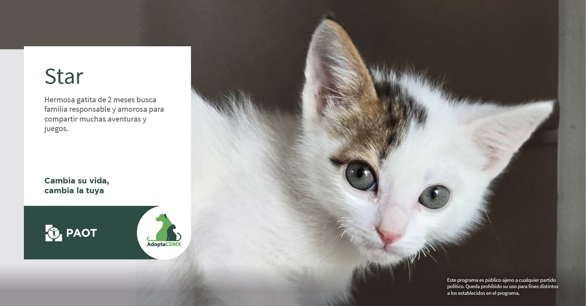 AdoptaCDMX tweet media