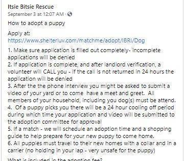 Puppy adoptions are held privately, not at the Petsmart location. If you are interested in one of our currently available puppies, please fill out a puppy application. Application: shelterluv.com/matchme/adopt/… #adoptdontshop #puppies #sacramentoca