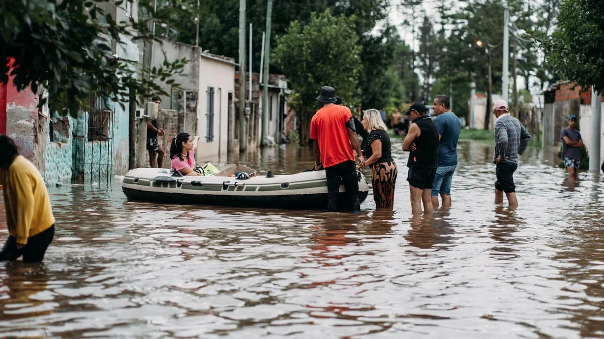 Editor_76's tweet photo. Estamos hablando de un gobierno que no mandó un solo paquete de arroz a
Bahia Blanca o Entre Ríos cuando sufrieron catástrofes climáticas, porque según Guillermo Francos no tenían nada para enviar.
Ahora sabemos que había 6000 toneladas de comida arrumbada.
Criminales, eso son. https://t.co/eALgxmls5R