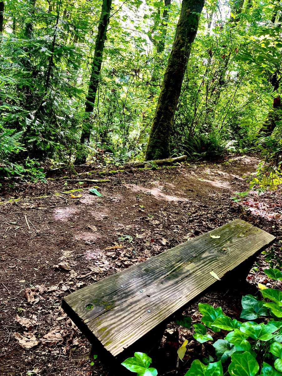 Open Forest Protocol (OFP) (@openforest_) on Twitter photo Would you sit here? 
We have an exciting community announcement dropping next week π 
All we can say is to keep an eye on #NEAR Twitter, drink your coffee, & never fade π― Would you sit here? 
We have an exciting community announcement dropping next week π 
All we can say is to keep an eye on #NEAR Twitter, drink your coffee, & never fade π―