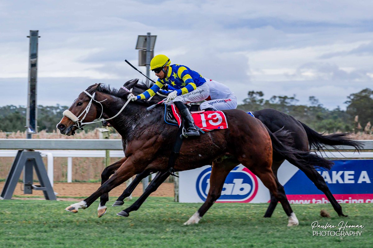 ascot_stud's tweet photo. #Fairview #Winner by #GLOBALVIEW 
Race 9 - FOREST SPY
Gavin Smith &amp; Yuzae Ramzan https://t.co/XzuYMCdbVB