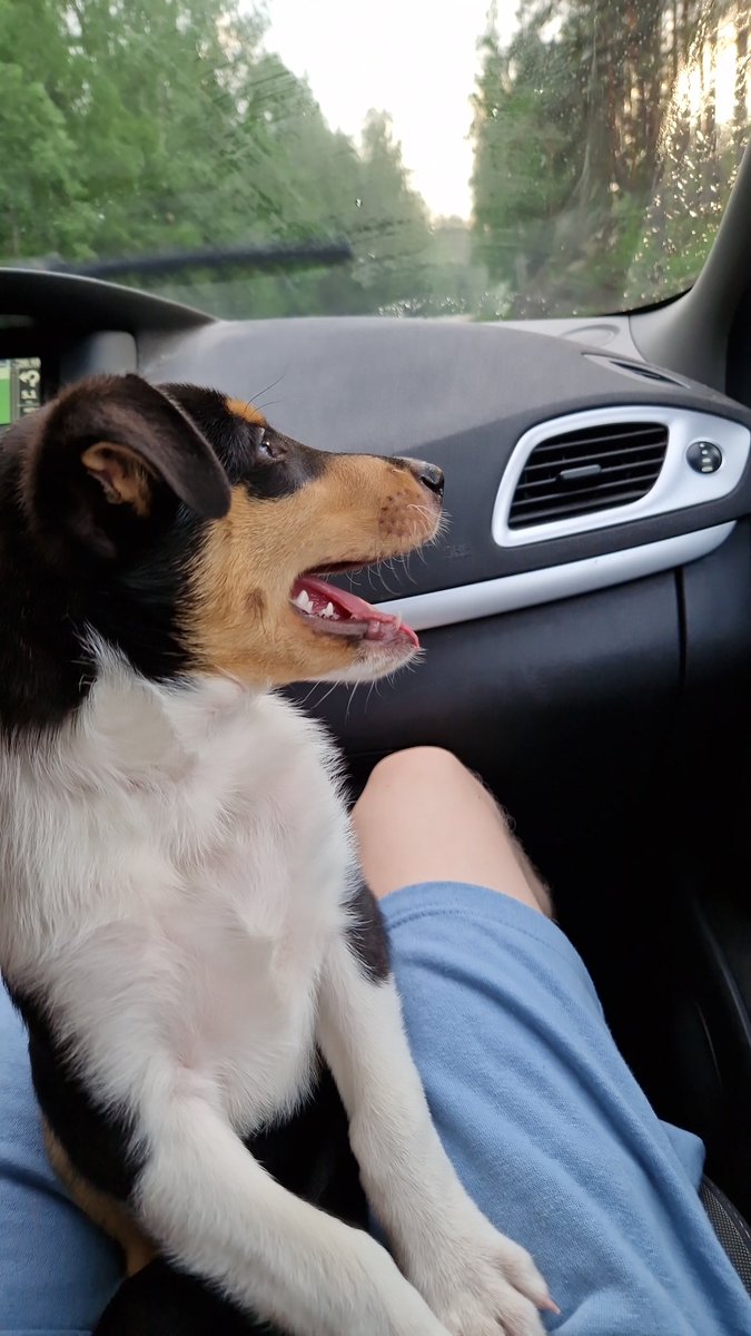 𝙎𝙖𝙖𝙢𝙤 tweet media