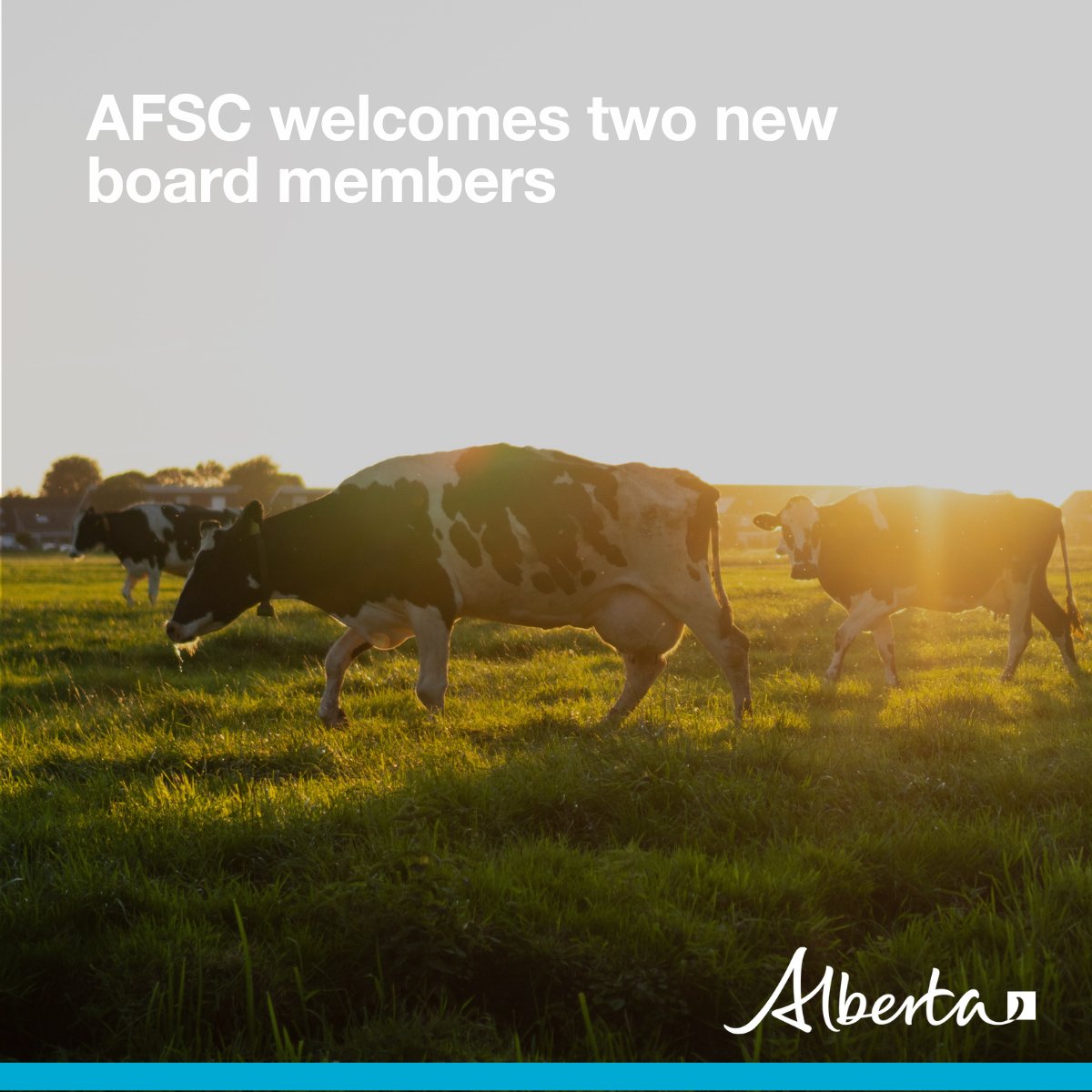 Two new members have joined the @AFSC_AB board of directors. Congrats to Ron Greidanus & Shelley Vandenberg, who both bring a wealth of experience to the role. The board helps ensure AFSC services meet the needs of Alberta’s farmers. Learn more: alberta.ca/release.cfm?xI… #abag