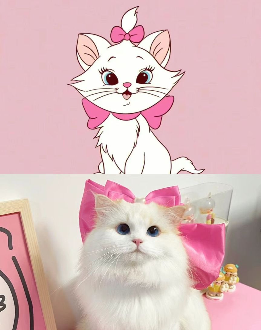 Gm #CatArmy 😺
#Cat $Cat #CatToken #bnb