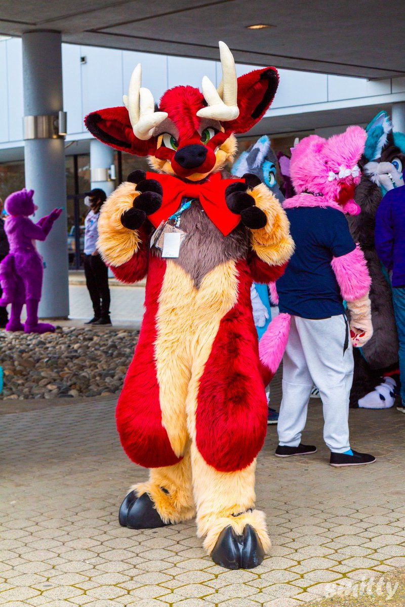 What a sly looking deer on #fursuitfriday , i wonder what is on his mind? #VF2024
photo by <a href="/SmittyFurry/">Smitty</a> 
suit by <a href="/MoreFurLess/">More Fur Less</a>