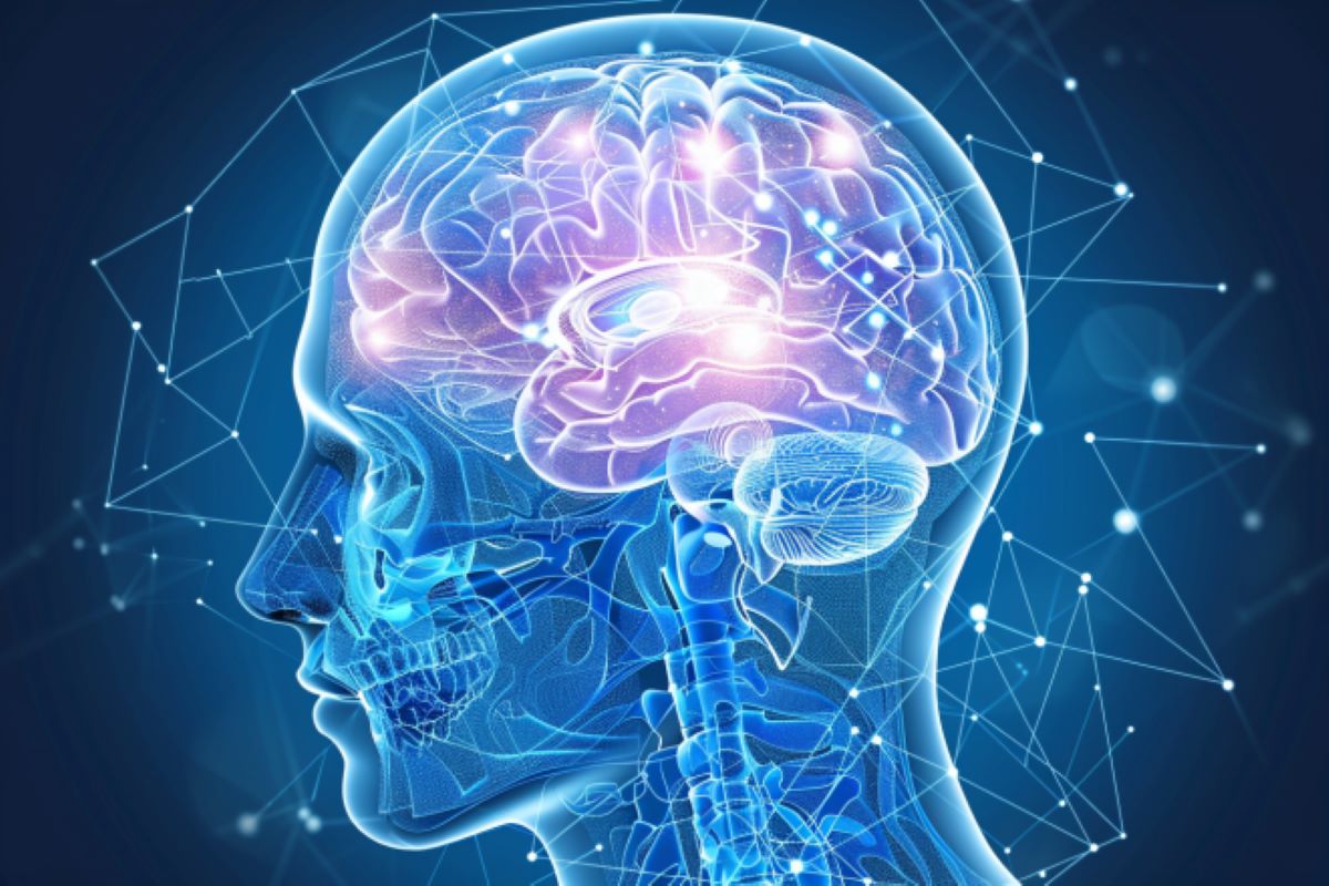 Neuroscience News tweet media