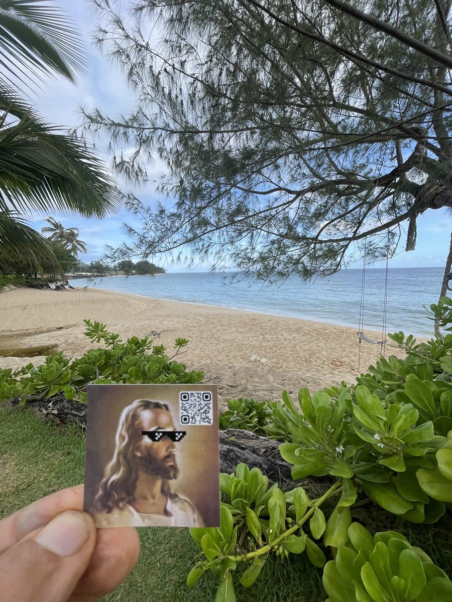 carlosm78116723's tweet image. I see $Jesus in Mokuleia, Hawaii!
#JesusEverywhere 
@jesustokens 
$Jesus