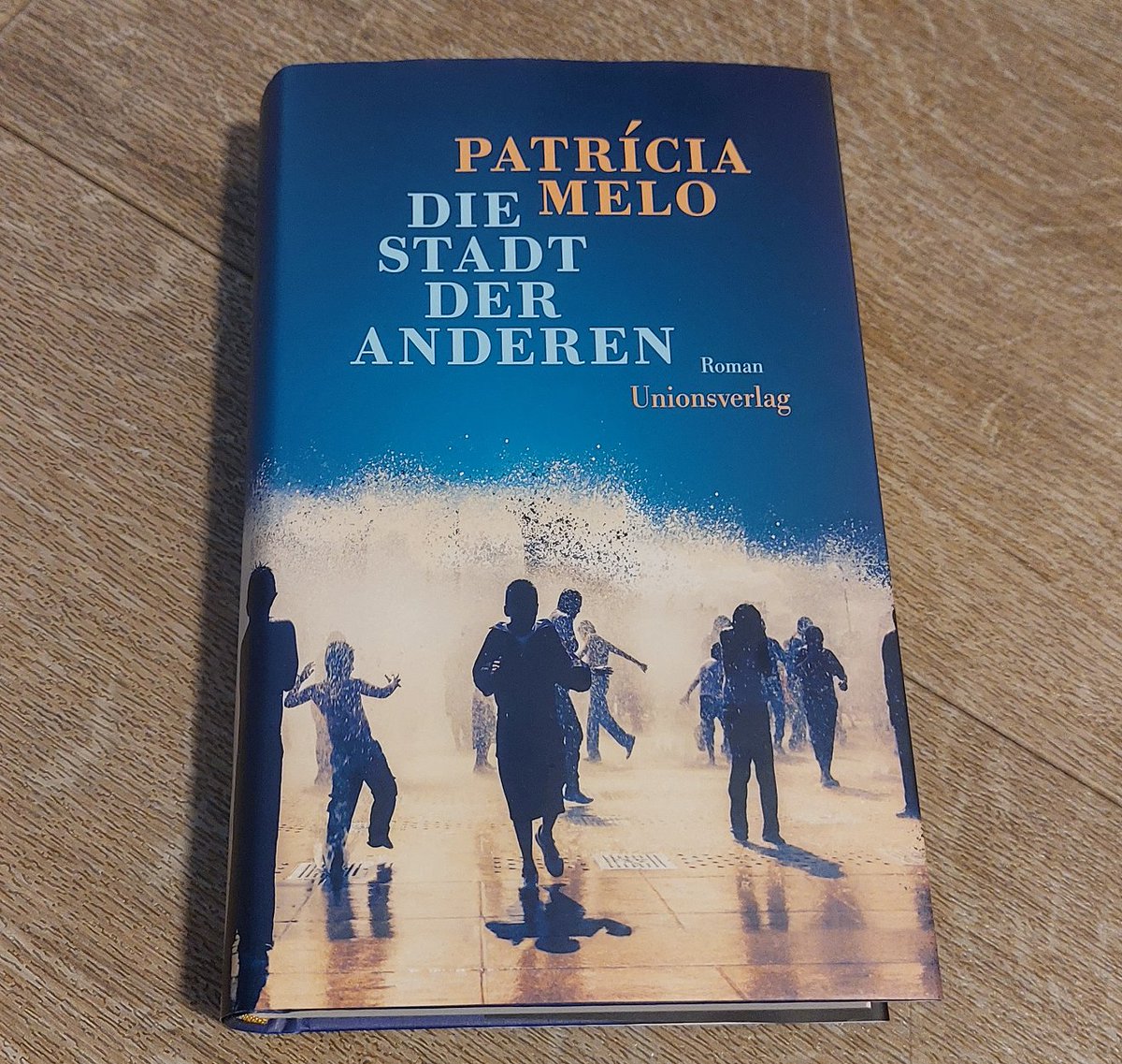 LeserAndreas's tweet photo. Die Stadt der anderen – Patricia Melo
Der Roman ist ein Zeugnis, ein Zeugnis der „Vergessenen“. Jener Menschen, die gerne übersehen werden. #Lesetipp @Unionsverlag 
 https://t.co/QWj2sHY1aq https://t.co/uQnmnmljA3