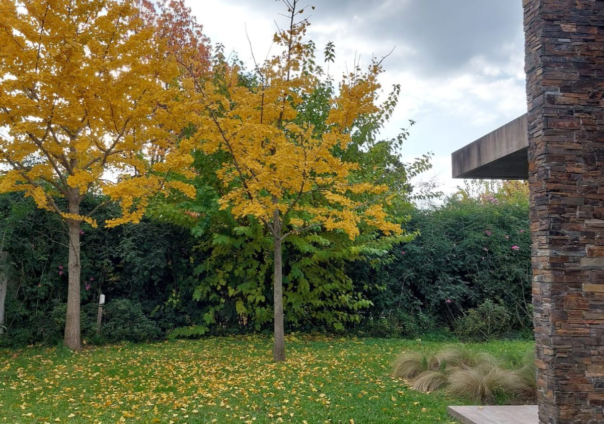 El otoño, está aquí...