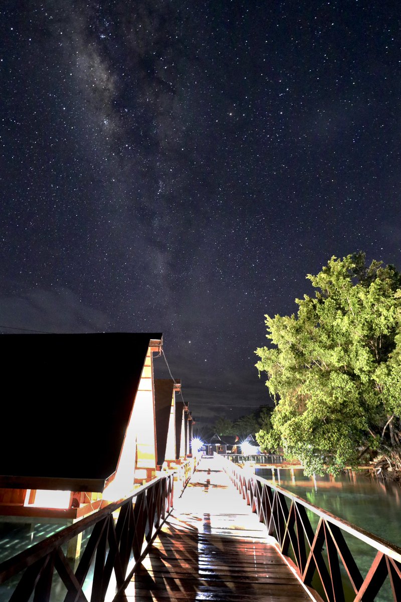 Tidak sengaja nemu di jalan…

Jailolo, Halmahera Barat, Maluku Utara, Sabtu, 1 Juni 2024.