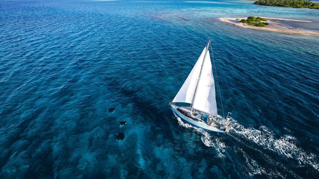 OutdoorsWire's tweet photo. Go on a 10-year sailing voyage with this thought-provoking memoir https://t.co/89PJes8Su7 https://t.co/OfCqem0CVY