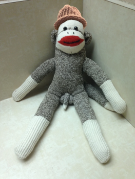 sockmonkeyonsol's tweet photo. the hat stays on https://t.co/wB7yGf5md5