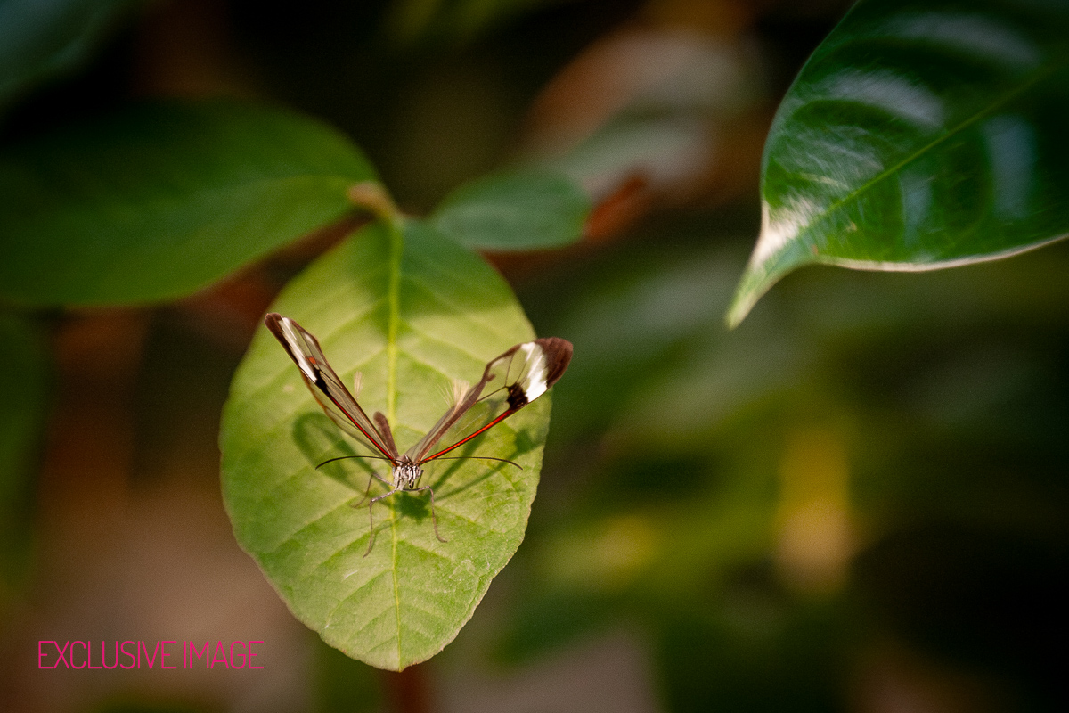 Last chance to register for our photography class tomorrow! Nature's Canvas: Exploring the Beauty of the Outdoors. Join us! exclusiveimageonline.com/shop/p/natures…
.
#photographyclass #photographylesson #learnphotography #learnphotographyskills #learnphotographytips #photographytips #ct