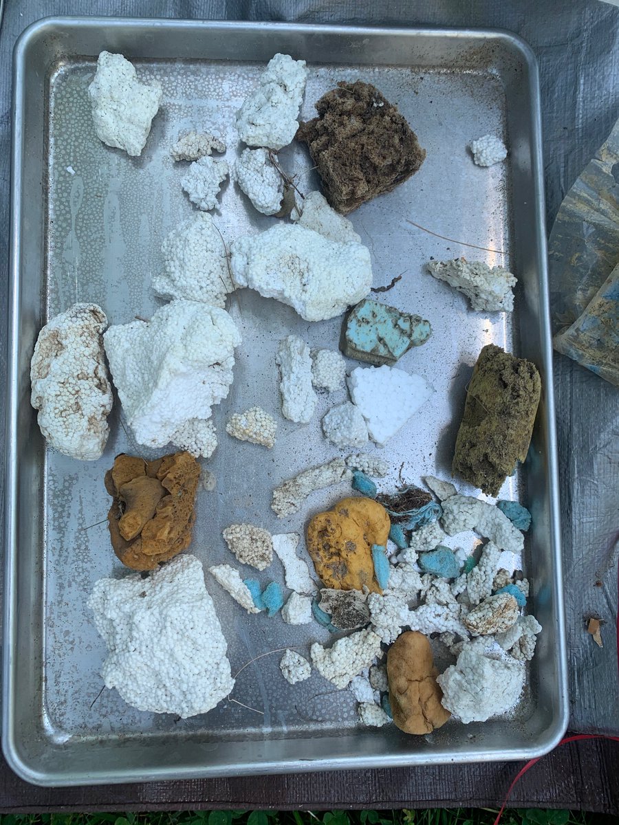 Exciting news from #Vermont! Bill S.213, known as the "Flood Safety Act" was passed, which includes the ban on unencapsulated foam docks. 

Our data contributed to demonstrating the pervasiveness of the problem and the increase in foam found in the environment after flooding.
