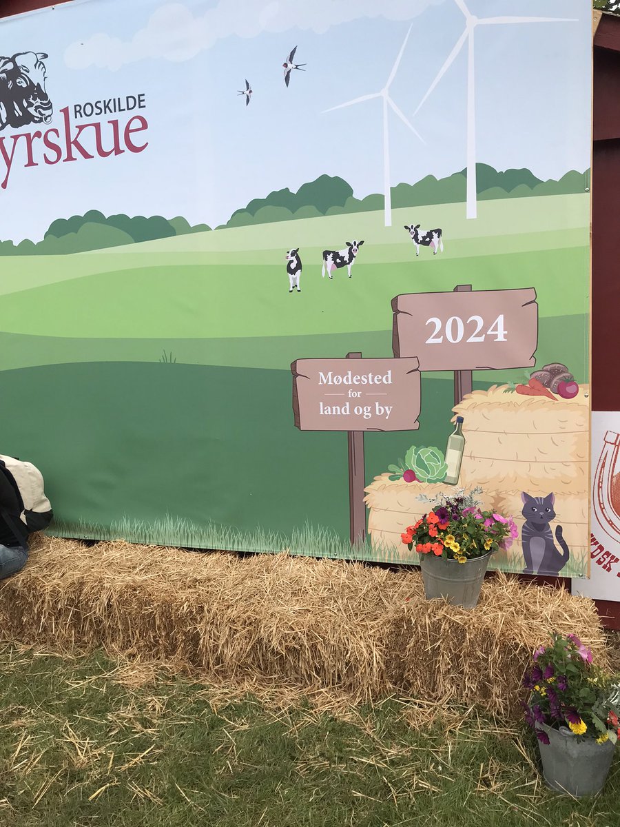 PernilleSnnich2's tweet photo. Som sædvanlig var der kæmpe interesse for #RoskildeDyrskue og #dklandbrug
Spændende at se det endelige besøgstal på søndag.
#landliv #Formidling https://t.co/eKW2d4tHX2