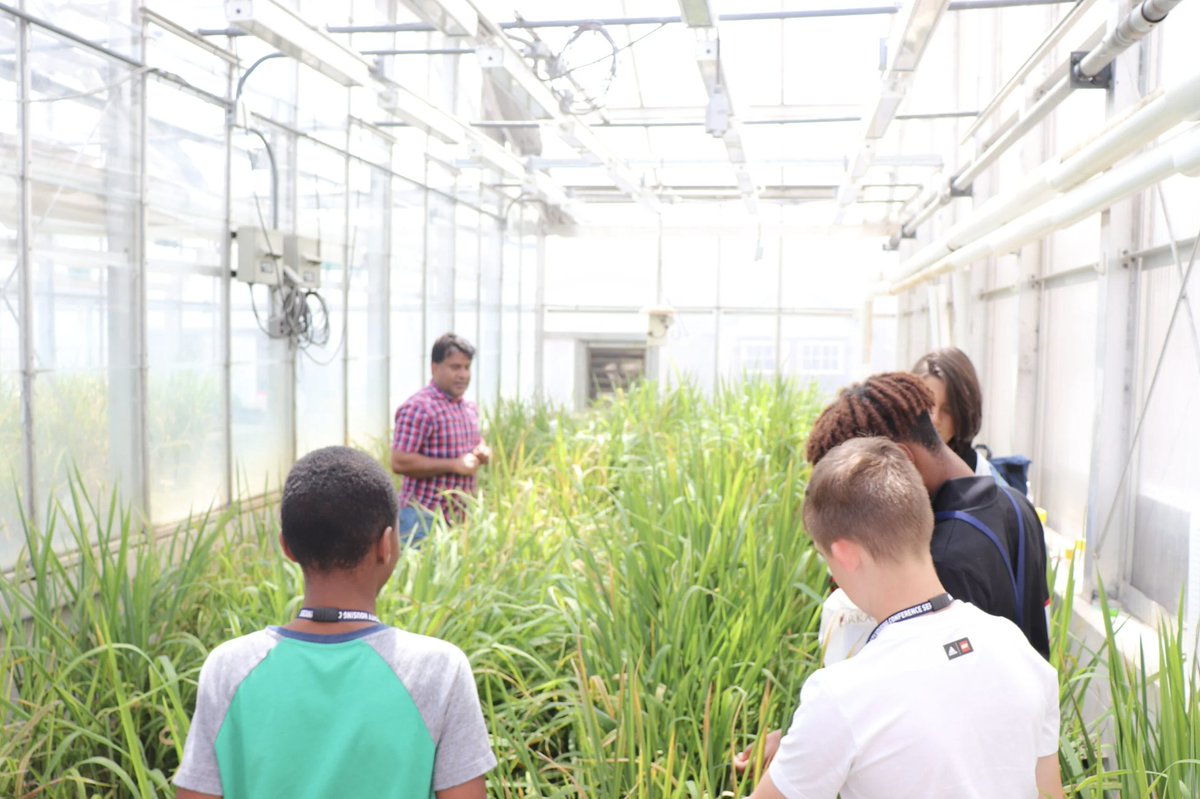 edreform's tweet image. 2022 #YassPrize Semifinalist #ArkansasLighthouseCharterSchools’ AgriSTEM Pathway Program &amp;amp; specialized ag science curriculum are unmatched! Thanks to the 2023 L.E.A.R.N.S Act removing the #charterschool limit, more students can now benefit from these unique experiences.…