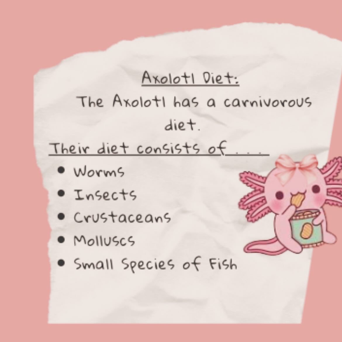 Becton Environmental Club tweet media