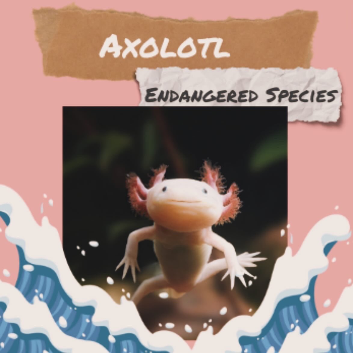 Becton Environmental Club tweet media