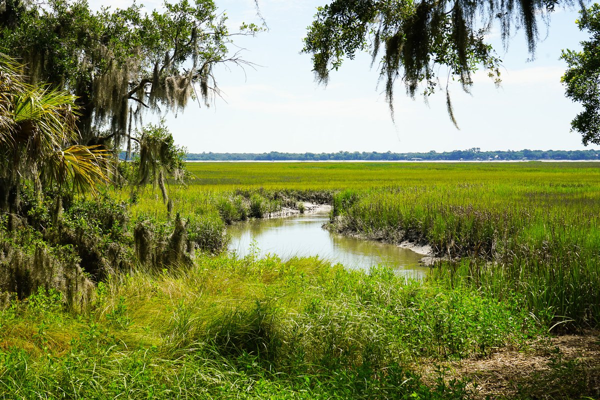 AJGAGolf's tweet photo. A course full of history. 📖

The Legends GC at Parris Island is ranked as a top military course in the world. It also served as the capitol for Spanish Florida from 1566 to 1587. 

#ParrisIslandJr https://t.co/bZ1taw9C4G