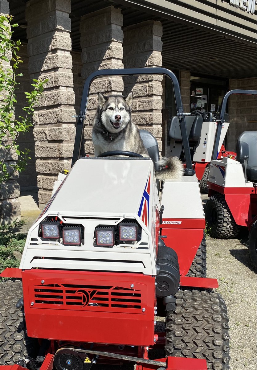 Molson is a big fan of the @ventrac Summer Savings Offers!🌞 check out connectequipment.com/ventrac-specia… for all of the incredible savings! This is a limited time offer available from May 21st to June 30th. 

#lawncare #landscaping #yardwork #landscapedesign #summeroffer