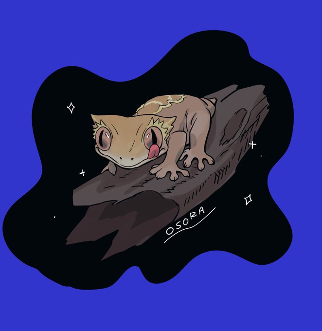 「pokemon (creature) rock」 illustration images(Latest)