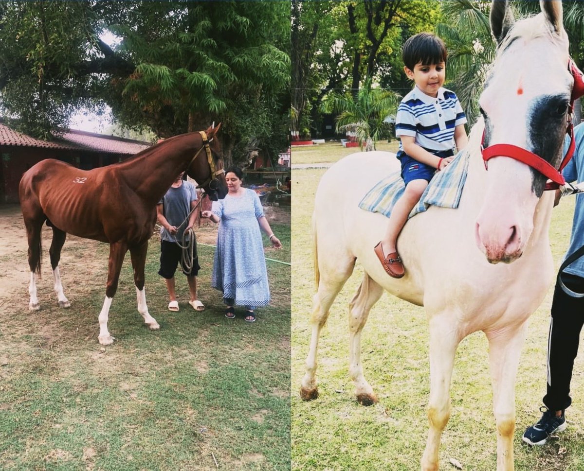Vikasdevfinvest's tweet photo. Chocolate and vanilla 🐎.The family grows now. #horselover. https://t.co/hqAVLn2dfk