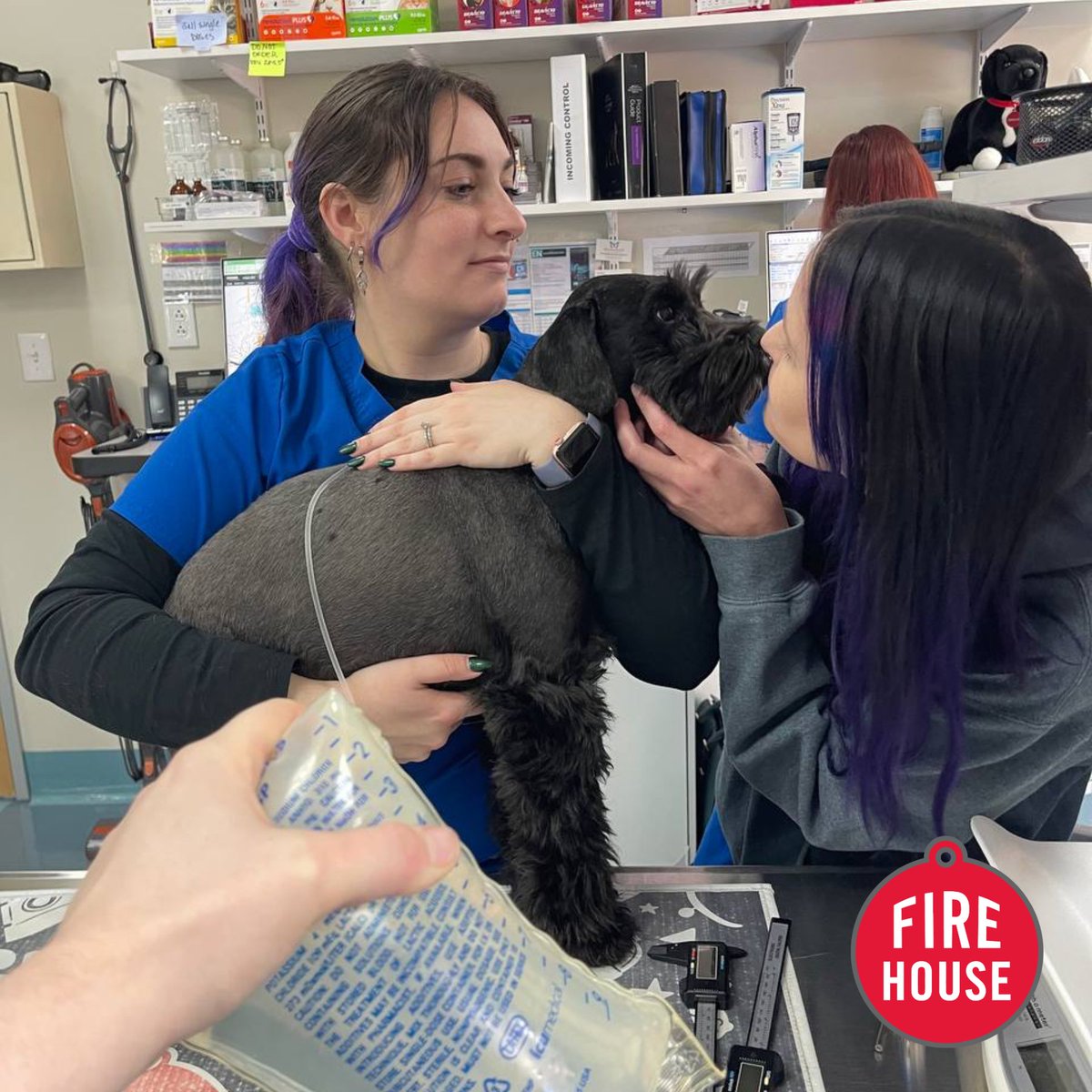 Firehouse Vet tweet media