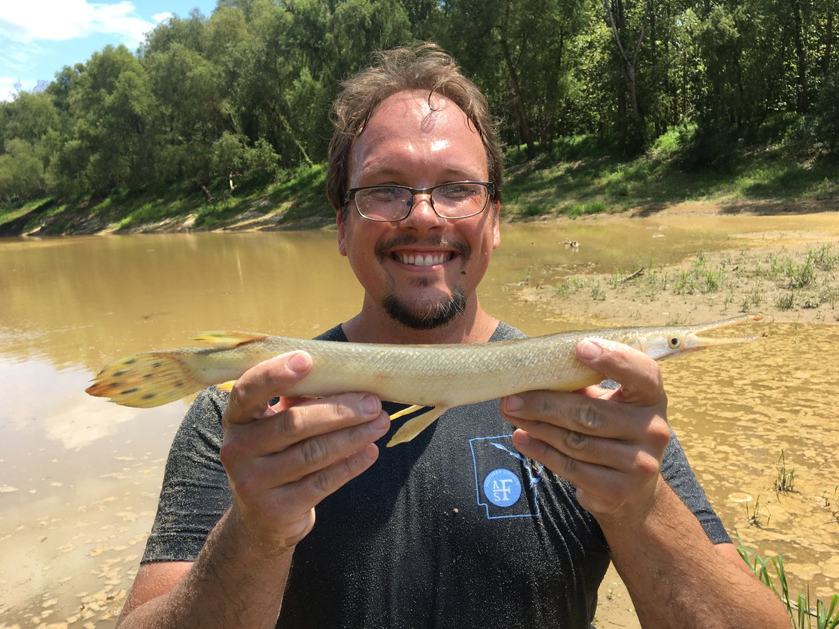 MDWFP's Mississippi Museum of Natural Science tweet media
