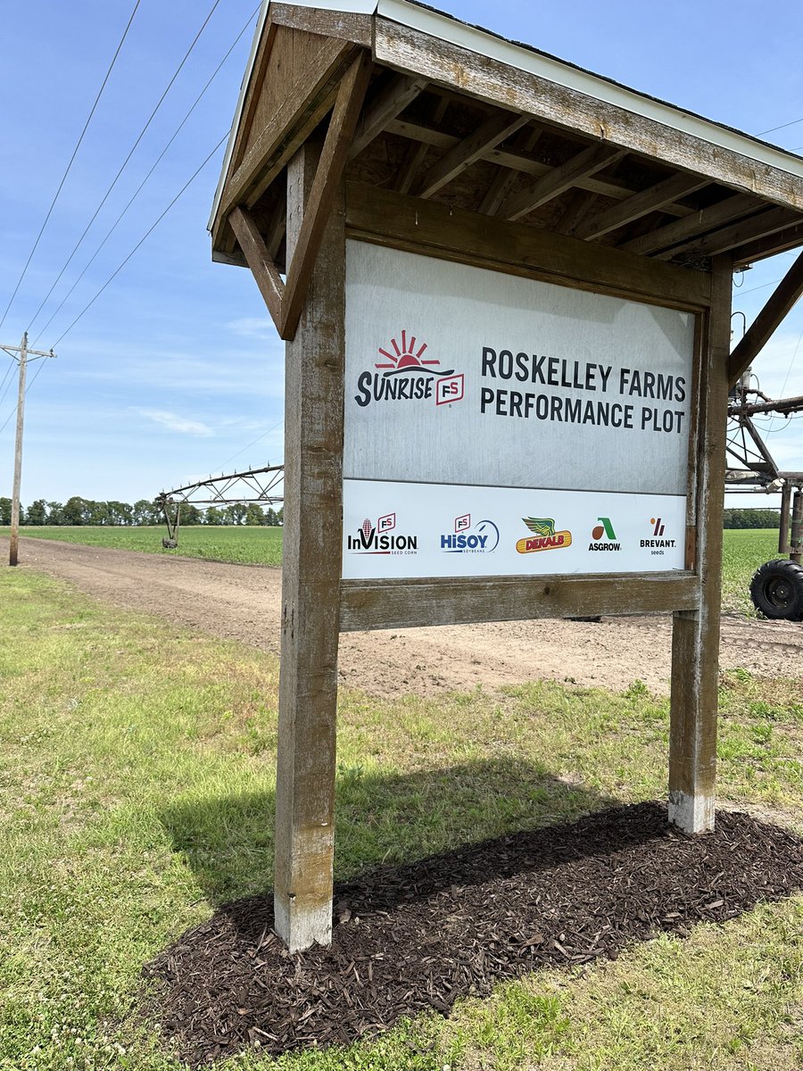 zbaugher's tweet image. We are going to have some great looking performance plots this year. Thanks to the local growers for their support on these each year. #Imageiseverything #fsproud @Sunrise_FS