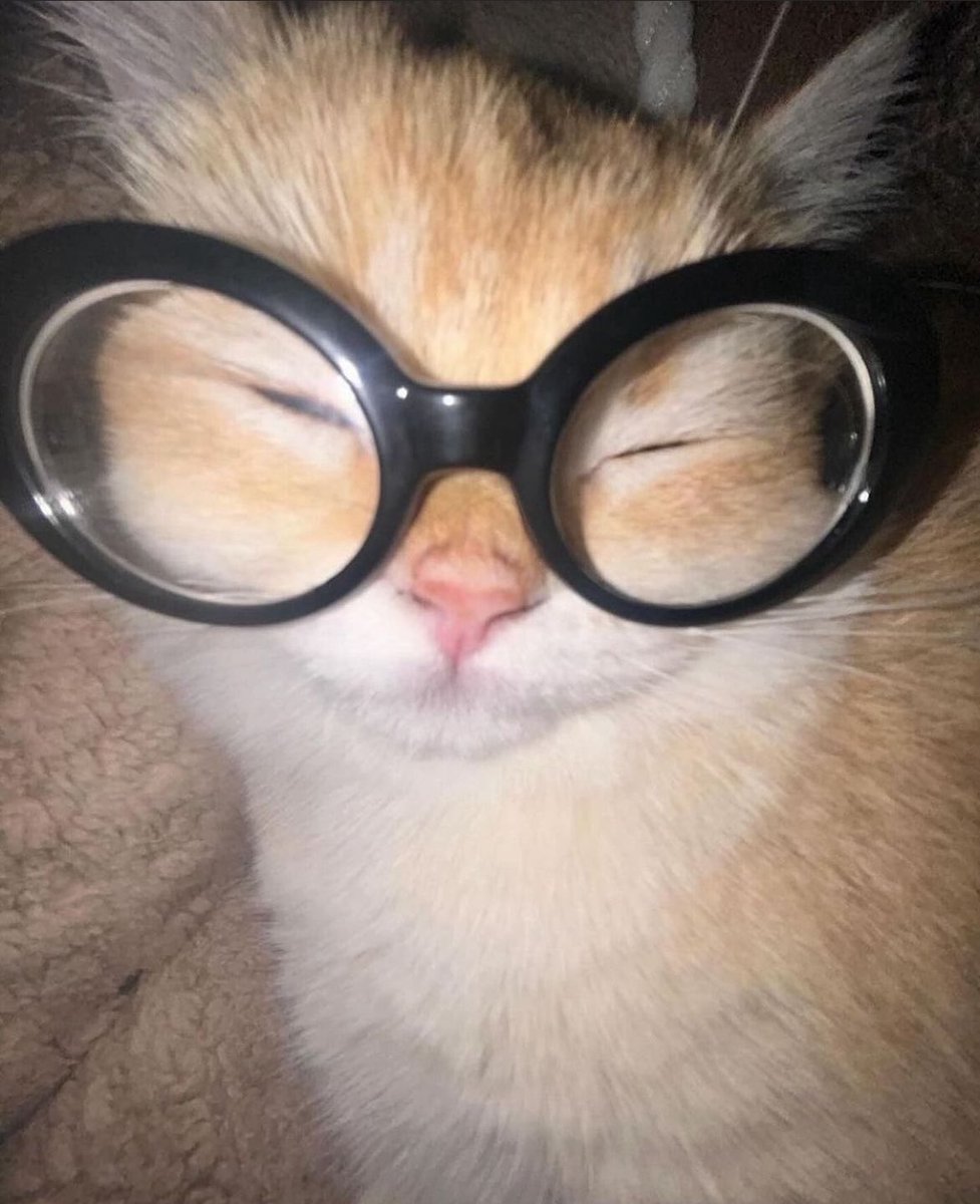 TsukkiEveryday's tweet image. The resemblance is uncanny fr