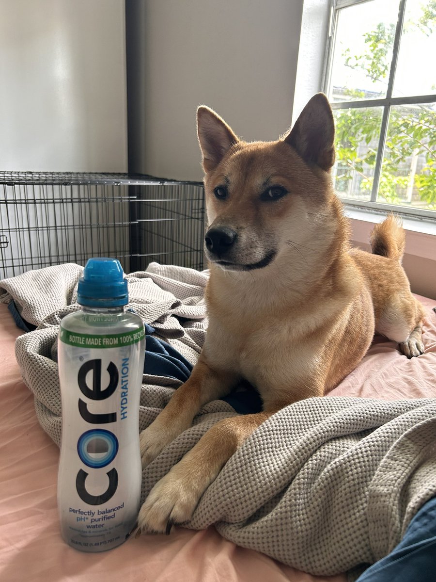 Samuel Ransom tweet media