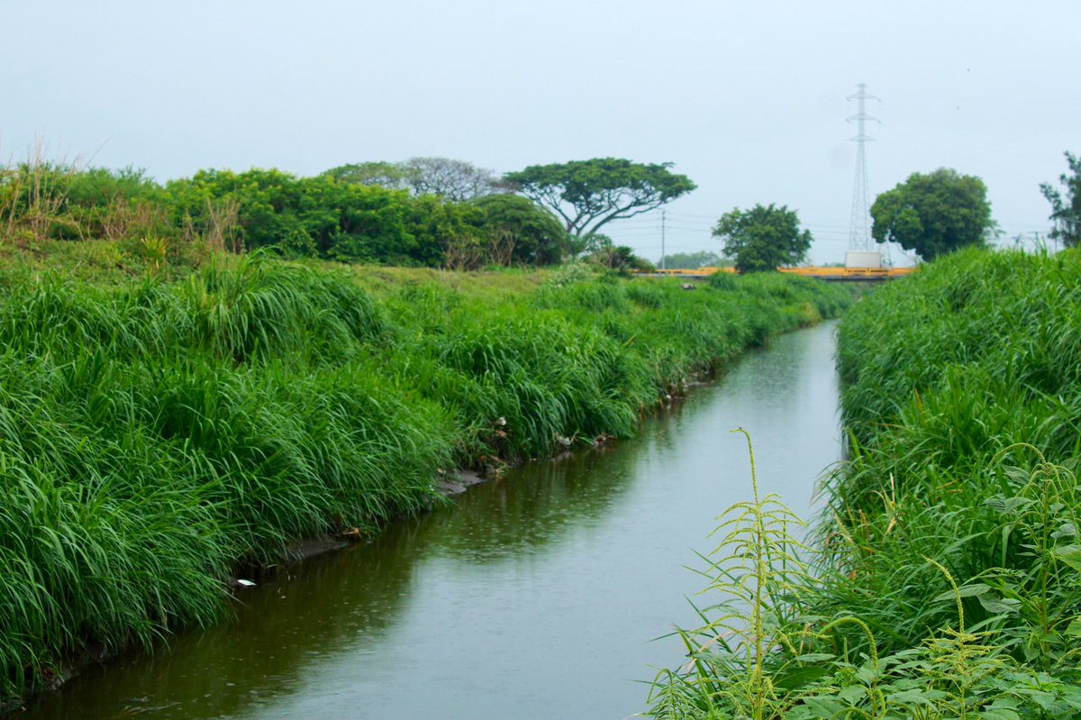 #31May Nos mantenemos en constante monitoreo del afluente del río Turmero junto al equipo de <a href="/serpumarsm/">serpumarsm</a> donde también hemos venido trabajando de manera permanente en la limpieza preventiva junto a organismos de seguridad y prevención ciudadana #AvanzandoConAmor