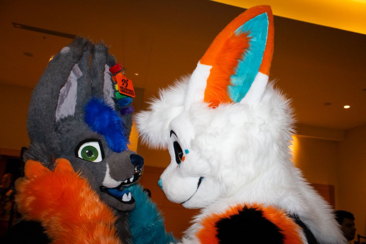 Happy #FursuitFriday from <a href="/Lyamdafennec/">Lyam 🔜 TFS</a> and I, you dorks! 🩵🧡 #FWA2024

📸 - <a href="/Xirxes1/">Xirxes</a>
👕 - <a href="/Bunnyfootato/">bun</a>