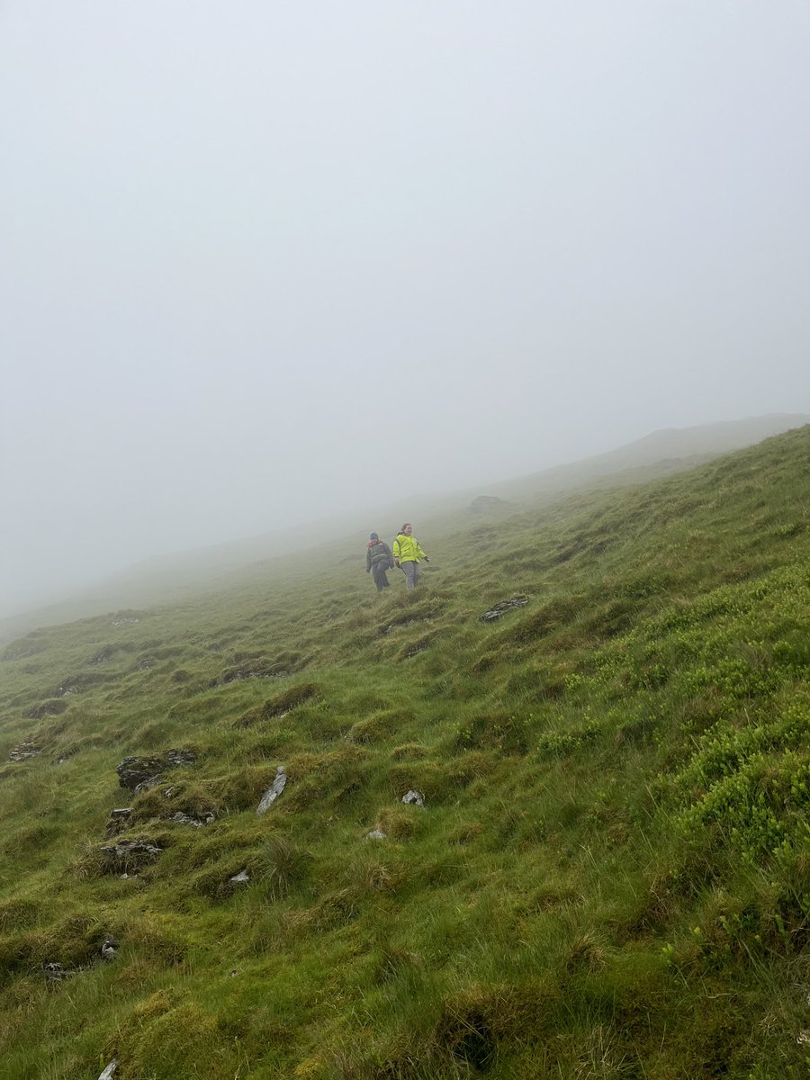 Great day to summit Y Garn in Wales 🏴󠁧󠁢󠁷󠁬󠁳󠁿 

Lucky to join some of the @UCLIRDR MSc students on part of their #risk and #safety #fieldtrip in Snowdonia ⛰️ 

Looking forward to joining the course on outdoor #firstaid over the next days ⛑️