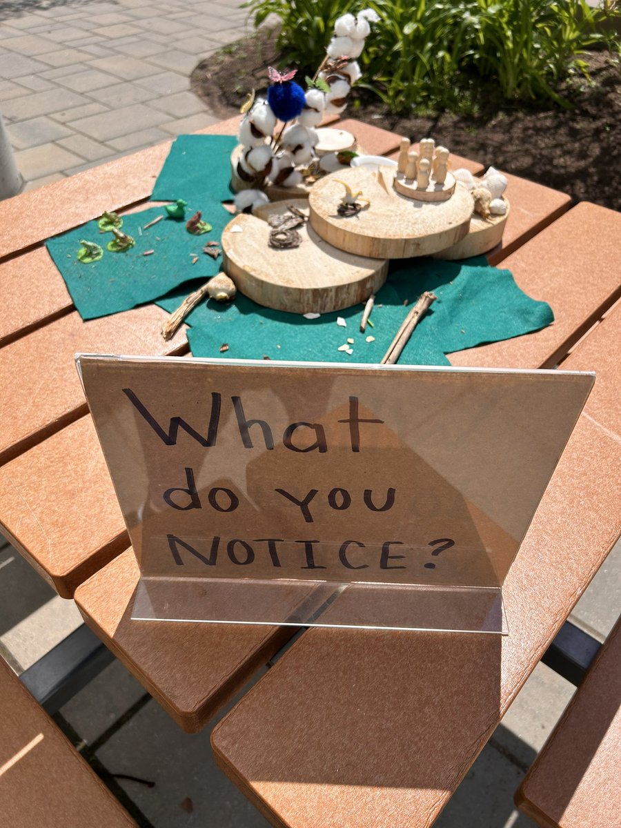 amazing planting day in our school garden today! 🌱