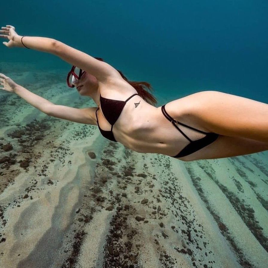 scubadivingyard's tweet photo. Stay salty . .
.
.
.
.

.
#scubadivingtrip  #dive #diver #scubadivingpic #dolphin🐬#underwaterworld https://t.co/Bn0IMdJ08c