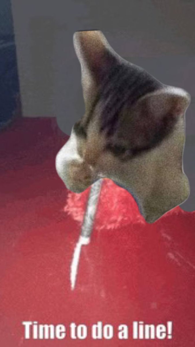 SlurpiCoin's tweet photo. @blknoiz06 like this *slurp* $slurpi

ca: 7Aaz1EnP4fi3CqAbF5RcPhwkVDF6otuzeipp2om2pump https://t.co/QPT4etUyr6
