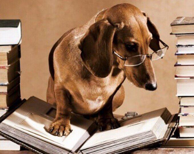 Susan Wilking Horan (@swilkinghoran) on Twitter photo @MikeSahno <a href="/AuthorMBTosi/">AuthorMBTosi</a> <a href="/PaulaSlade/">Paula Slade</a> <a href="/Lady_J_Author/">Harley James ~ Romance Author ❀ Official Account ❀</a> <a href="/EvelynChartres/">Evelyn Chartres</a> <a href="/AmyCaudill10/">Amy Caudill</a> <a href="/ShehanneMoore/">Shehanne Moore</a> <a href="/AmandaGreenUK/">🐱Amanda Green, Author (pen name)😎🌹😁🐈</a> <a href="/eleesha/">Eleesha</a> TY, Mike and may I add #writers <a href="/LeanoraBenton3/">Leanora Benton D.Ed.</a> <a href="/M_Cobbett71/">M.G. Cobbett (Writer/Reader/Reviewer) - see cover</a> <a href="/BambiSommers1/">Bambi Sommers Editor</a> <a href="/davepperlmutter/">David P Perlmutter - Author. Actor. Dreamer. ✍🏼🎬</a> <a href="/AikinNorb/">Norb Aikin</a> <a href="/MozPerkins/">Moz Perkins ⚓️ Author 🏴🇬🇧</a> @Joepranaitis <a href="/OdriSeva/">Odri Seva</a> <a href="/HyapatiaLee/">Hyapatia Lee</a> <a href="/cyndeemelzow/">Cyndee Melzow</a> <a href="/newberg_sean/">Sean Newberg</a> <a href="/gary_hensel/">Gary Hensel</a> @bayne_wendy <a href="/steven_arnett/">Steven Arnett</a> <a href="/DBWoodling/">Award-Winning Author D.B. Woodling</a> <a href="/SinCityMadame/">✍️ Sin City Madame 🍷</a> <a href="/MJLaBeff/">MJ LaBeff</a> @wlwo51 <a href="/GeorgeYuhasz/">George Yuhasz</a> @MikeSahno <a href="/AuthorMBTosi/">AuthorMBTosi</a> <a href="/PaulaSlade/">Paula Slade</a> <a href="/Lady_J_Author/">Harley James ~ Romance Author ❀ Official Account ❀</a> <a href="/EvelynChartres/">Evelyn Chartres</a> <a href="/AmyCaudill10/">Amy Caudill</a> <a href="/ShehanneMoore/">Shehanne Moore</a> <a href="/AmandaGreenUK/">🐱Amanda Green, Author (pen name)😎🌹😁🐈</a> <a href="/eleesha/">Eleesha</a> TY, Mike and may I add #writers <a href="/LeanoraBenton3/">Leanora Benton D.Ed.</a> <a href="/M_Cobbett71/">M.G. Cobbett (Writer/Reader/Reviewer) - see cover</a> <a href="/BambiSommers1/">Bambi Sommers Editor</a> <a href="/davepperlmutter/">David P Perlmutter - Author. Actor. Dreamer. ✍🏼🎬</a> <a href="/AikinNorb/">Norb Aikin</a> <a href="/MozPerkins/">Moz Perkins ⚓️ Author 🏴🇬🇧</a> @Joepranaitis <a href="/OdriSeva/">Odri Seva</a> <a href="/HyapatiaLee/">Hyapatia Lee</a> <a href="/cyndeemelzow/">Cyndee Melzow</a> <a href="/newberg_sean/">Sean Newberg</a> <a href="/gary_hensel/">Gary Hensel</a> @bayne_wendy <a href="/steven_arnett/">Steven Arnett</a> <a href="/DBWoodling/">Award-Winning Author D.B. Woodling</a> <a href="/SinCityMadame/">✍️ Sin City Madame 🍷</a> <a href="/MJLaBeff/">MJ LaBeff</a> @wlwo51 <a href="/GeorgeYuhasz/">George Yuhasz</a>