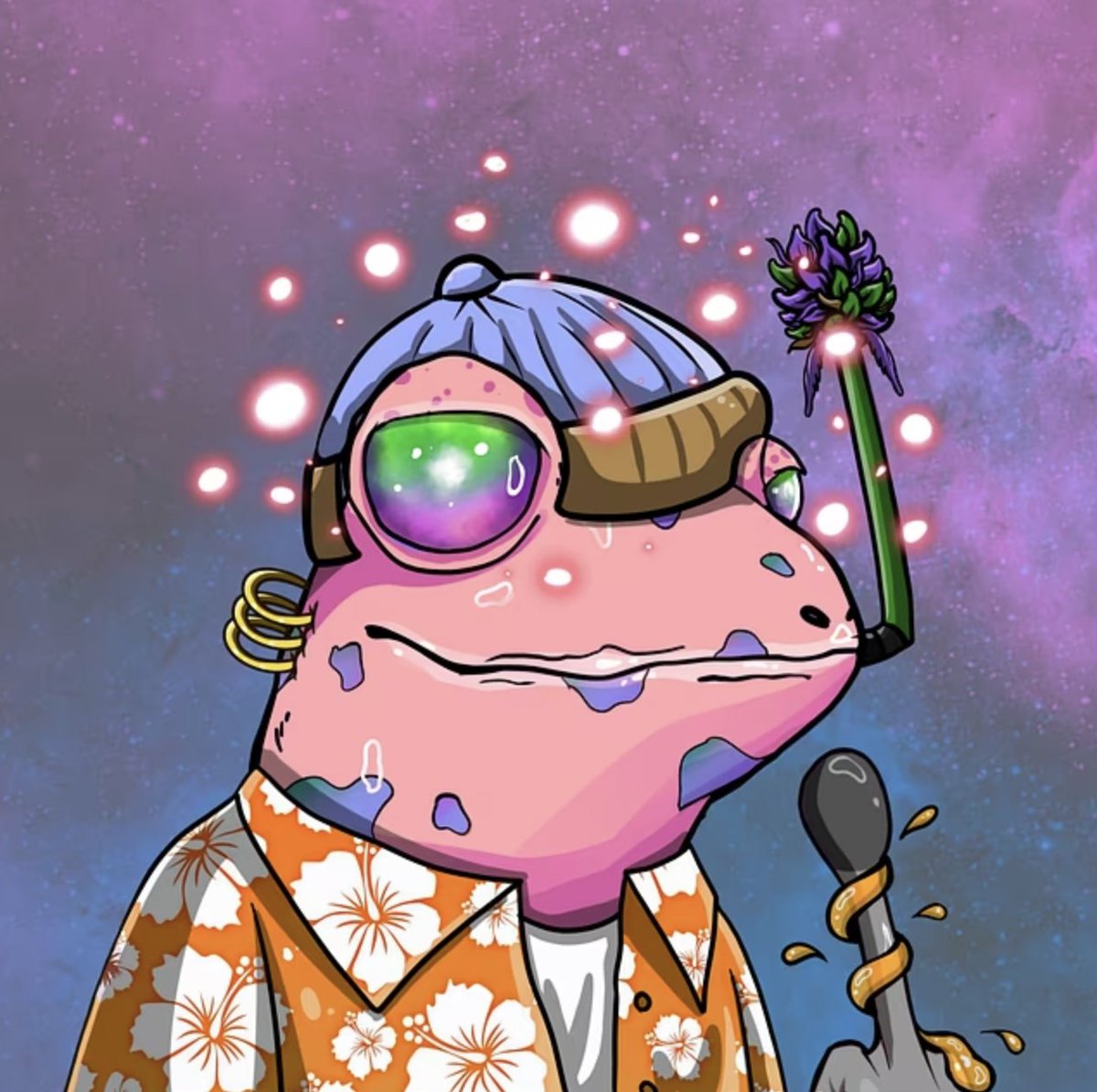 The Stoned Frogs tweet media