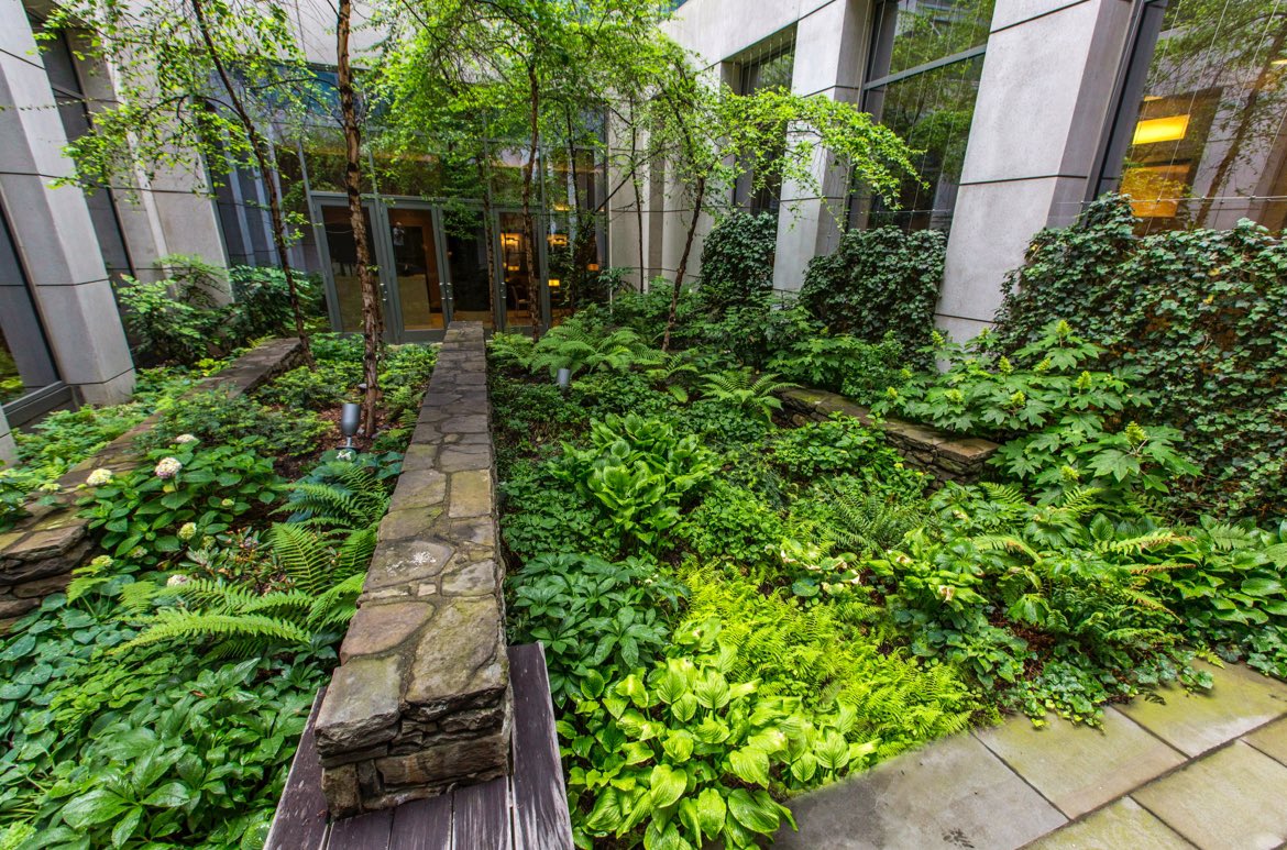 JMDLandscapes's tweet photo. The perfect blend of nature and architecture, a tranquil retreat in the heart of the city.

Imagine stepping into this beautiful sanctuary right outside your office!
——
#JohnMini https://t.co/WnxGr8LpW8