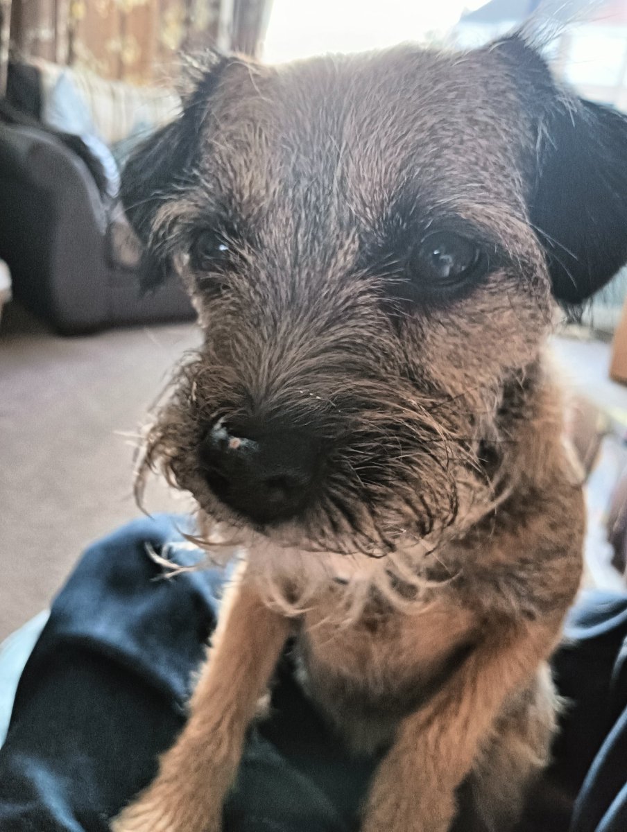 BorderWinnie tweet picture