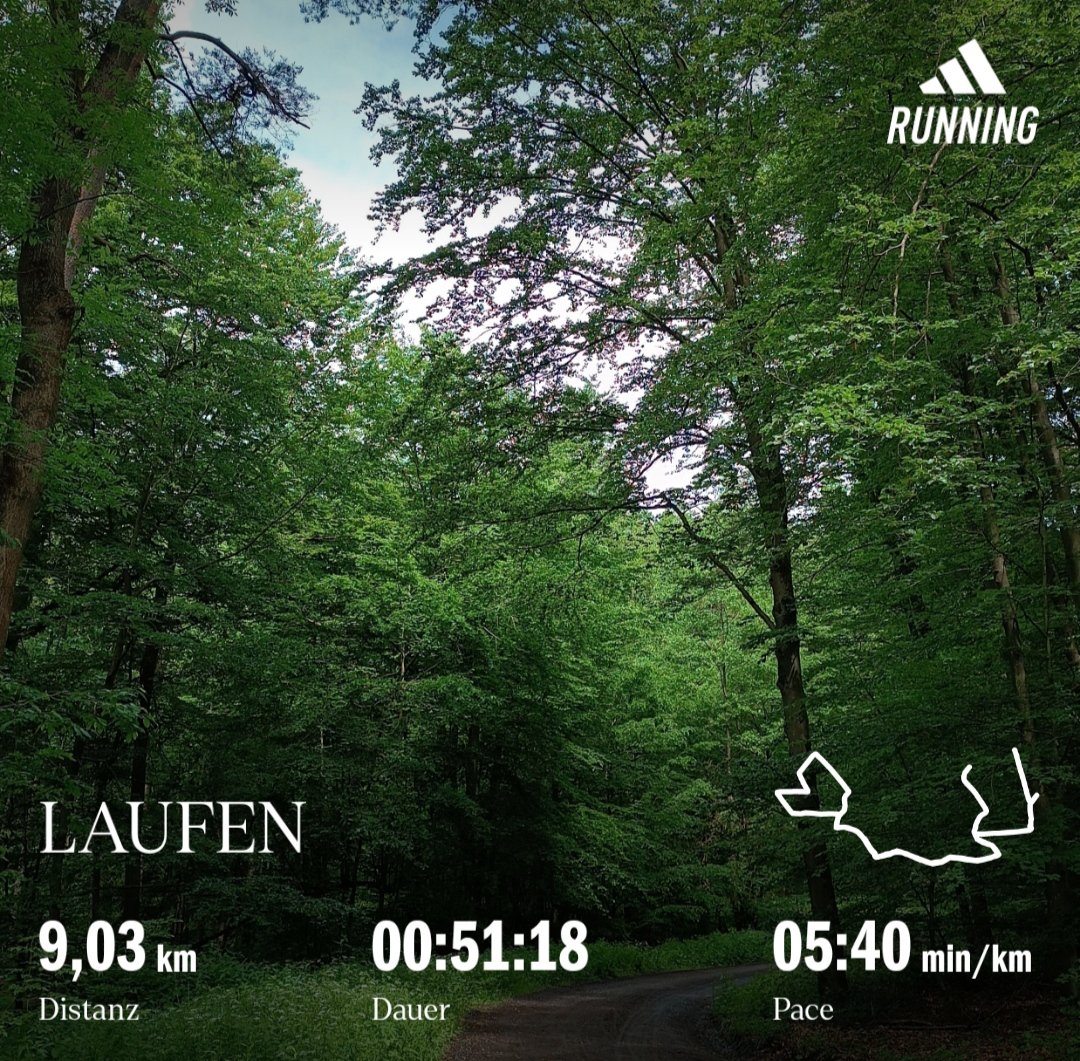 Evening fun🌳🏃🏼‍♂️#laufen #forest #TrapnLos #running #runner #RunningWithTumiSole #runhappy #IPaintedMyRun #runningpunks #fitness #RunningWithSoleAC #FitLeaders