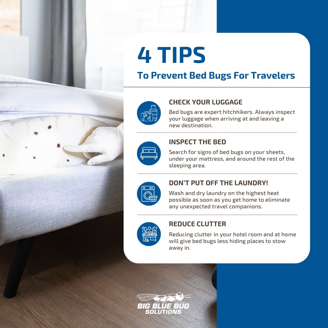 bigbluebug's tweet photo. Travel season is well underway around the world! Share these helpful tips with someone you know that's planning a getaway this summer, whether it's down the road or across the globe! ⬇️ #BedBugAwarenessWeek https://t.co/1nzOHJnUbT