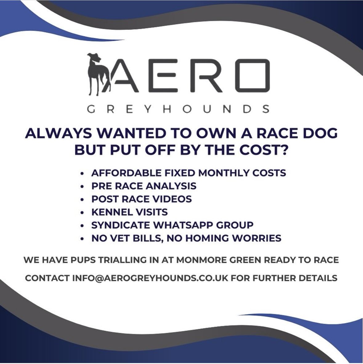 We have some exciting new greyhound pups about to hit the track @Monmoredogs with places left in our syndicates. If you fancy getting involved please DM us for further details #aero #aerogreyhounds