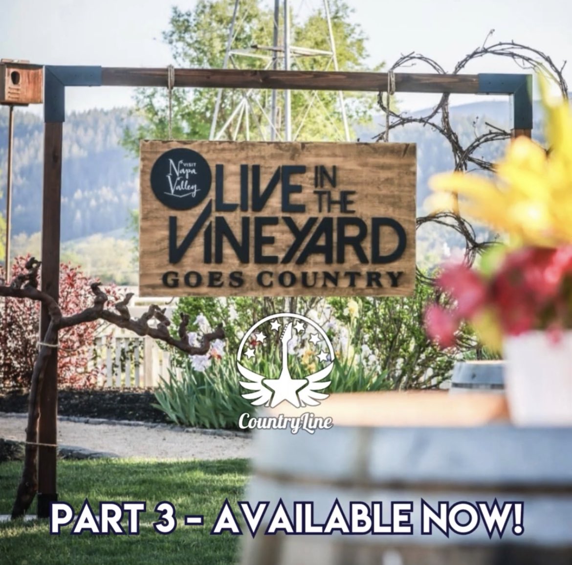 🎉 Available Now! 🎉

Come with us to Napa Valley for our final episode of our three part special at <a href="/liveinvineyard/">Live In The Vineyard Goes Country</a>! Don’t miss it as we chat with <a href="/haileywhitters/">Hailey Whitters</a>, <a href="/musicjoshross/">JOSH ROSS</a>, <a href="/levihummon/">Levi Hummon</a>, <a href="/callistaclark/">Callista Clark</a> and more. See you in the vineyard next year!

bit.ly/4eeJnLs