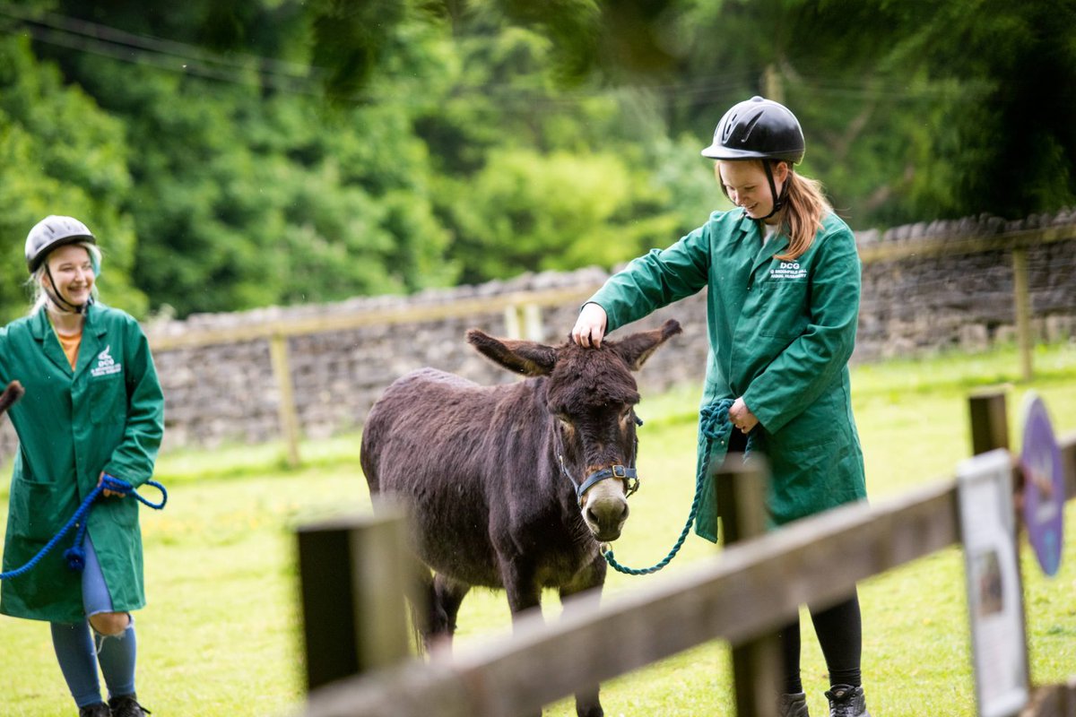 Come along to our Summer Themed Animal Unit Open Day and feed our wide range of animals here at Broomfield. A perfect way to spend a summers day with the family! 👨‍👩‍👧‍👦 🐐🦎🐠🐦🐸 orlo.uk/PZKcE