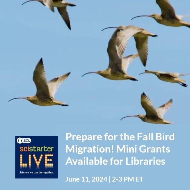 Calling all U.S. libraries!
 
Shorebirds embark on epic migrations each year along ancient, often uncharted routes called Flyways. Over 200 species, including Far Eastern Curlews, Lesser Yellowlegs, Red Knots, and Hudsonian Godwits, travel from the southern hemisphere to the