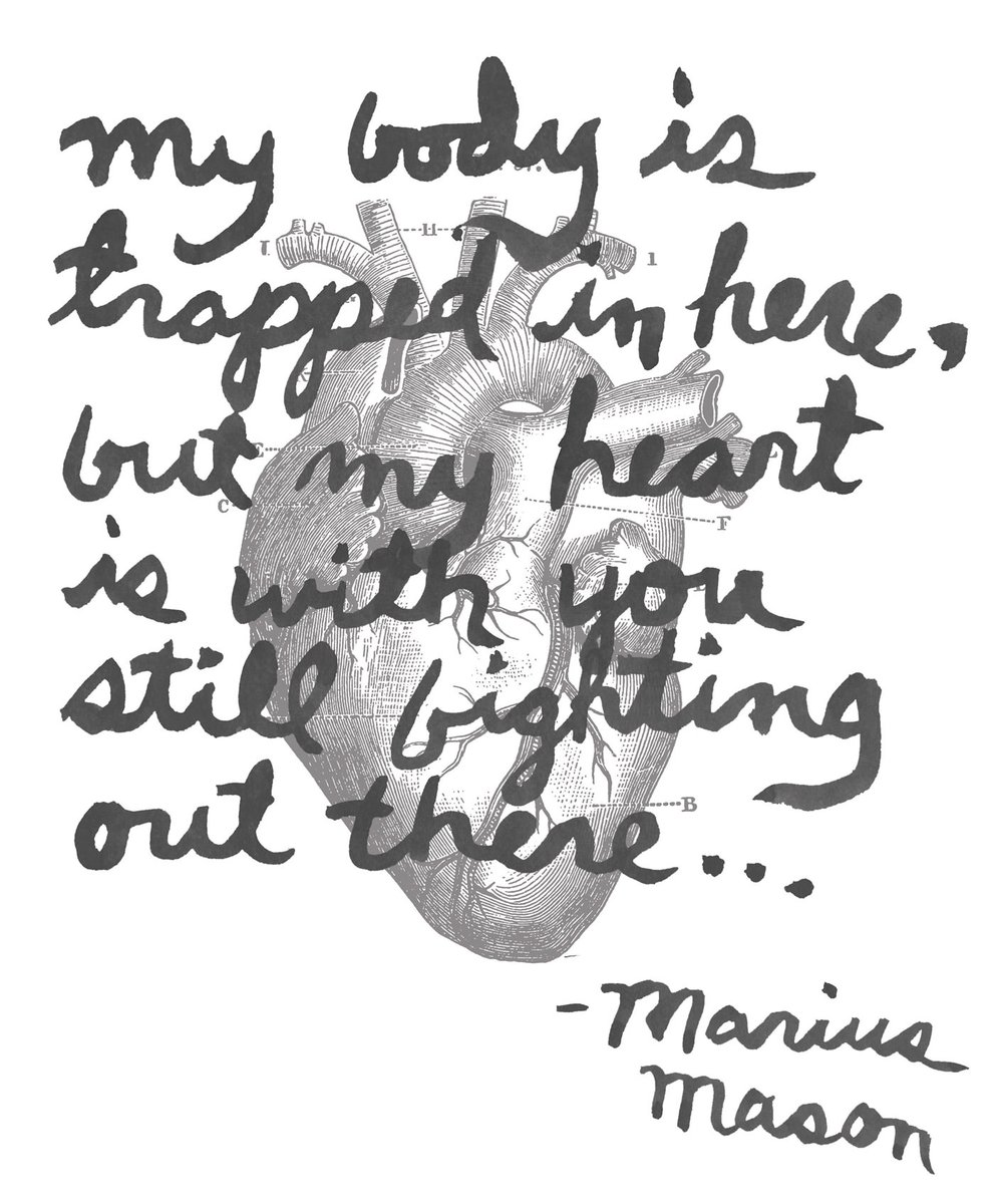 Here is your annual reminder that Marius needs +$2500 each year to get by inside, and June 11th used to be the biggest fundraising day for that each year. Since the pandemic hit that has fallen off significantly, and we are trying to push to get it back where it was. Please...