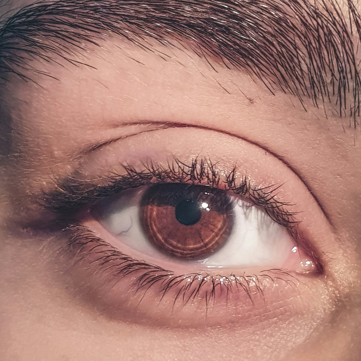 ACO_Eyecare's tweet image. The month of May marked Vision Health Month in Alberta, emphasizing the importance of regular eye exams and vision care. If you&apos;ve been putting off booking that eye exam, make a point to get it in your calendar! Together, let’s #GetEyeWise! #VisionHealthMonth #SaveYourSight